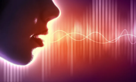 No.34 声は感情を最も雄弁に語る（第2回） ―　声は感情の直送便  表情より早く嘘をつけない感情のメディア　―